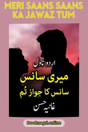 Ghaniya Hassan Novel